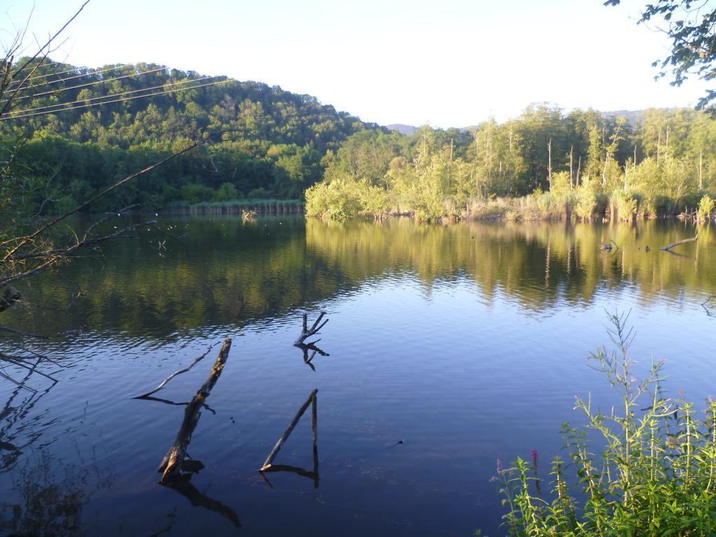 Storchennest Διαμέρισμα Bad Säckingen Εξωτερικό φωτογραφία