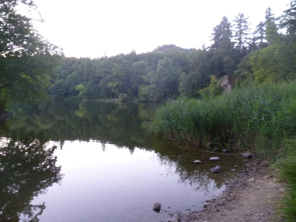 Storchennest Διαμέρισμα Bad Säckingen Εξωτερικό φωτογραφία