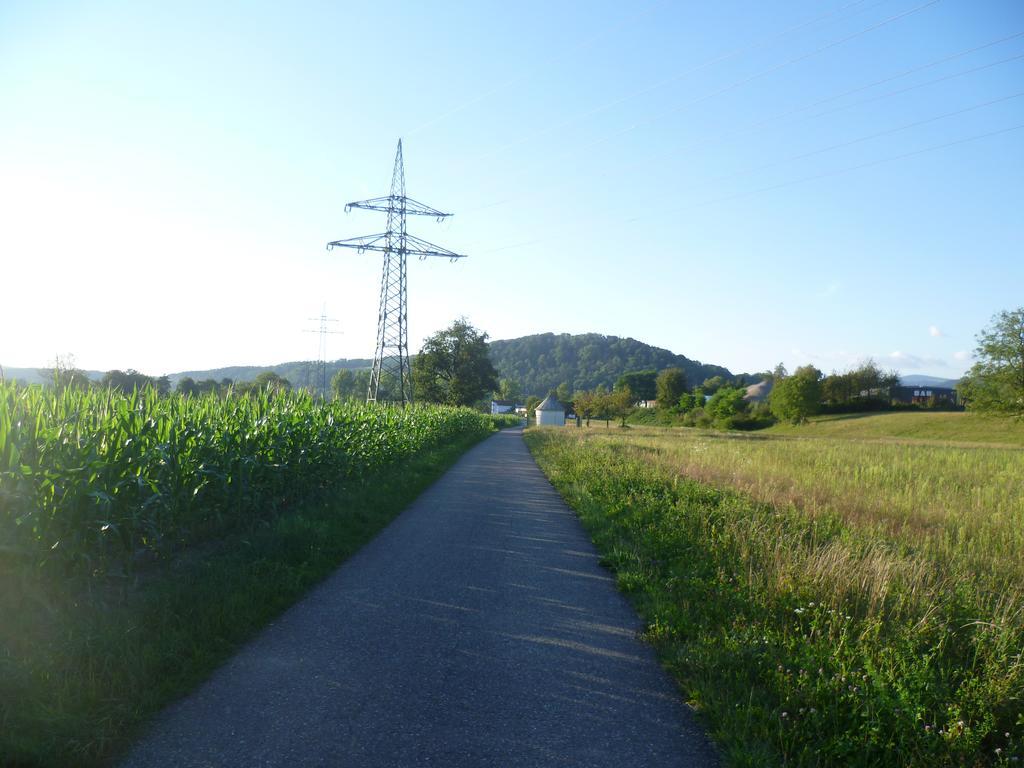 Storchennest Διαμέρισμα Bad Säckingen Εξωτερικό φωτογραφία