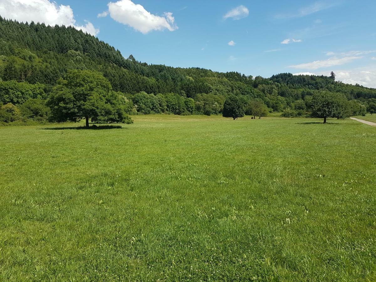 Storchennest Διαμέρισμα Bad Säckingen Εξωτερικό φωτογραφία